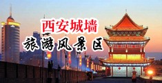 看美女的逼逼用什么软件中国陕西-西安城墙旅游风景区